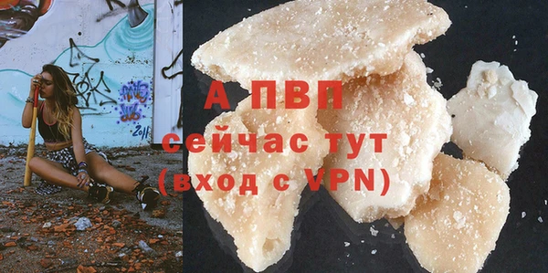 стафф Арсеньев