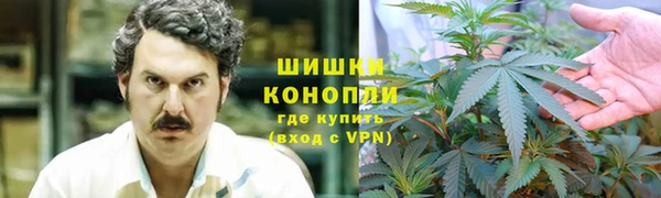ПСИЛОЦИБИНОВЫЕ ГРИБЫ Остров