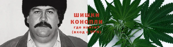 СК Осинники