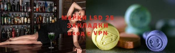 ГАЛЛЮЦИНОГЕННЫЕ ГРИБЫ Аркадак