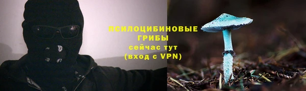 СК Осинники
