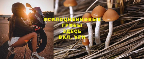 прущие крисы Осташков