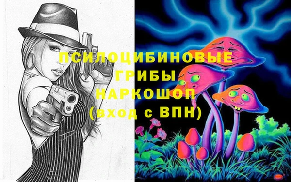 стафф Арсеньев