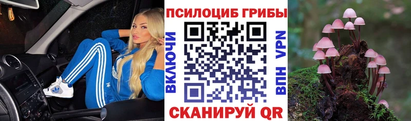 Псилоцибиновые грибы прущие грибы  Астрахань 